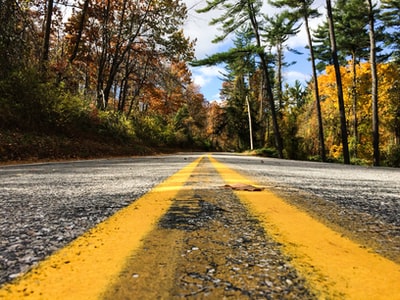 灰色和黄色之间的道路树木
